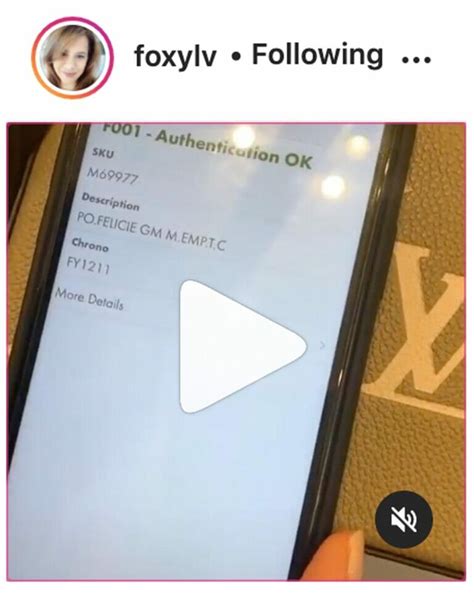 louis vuitton scanner